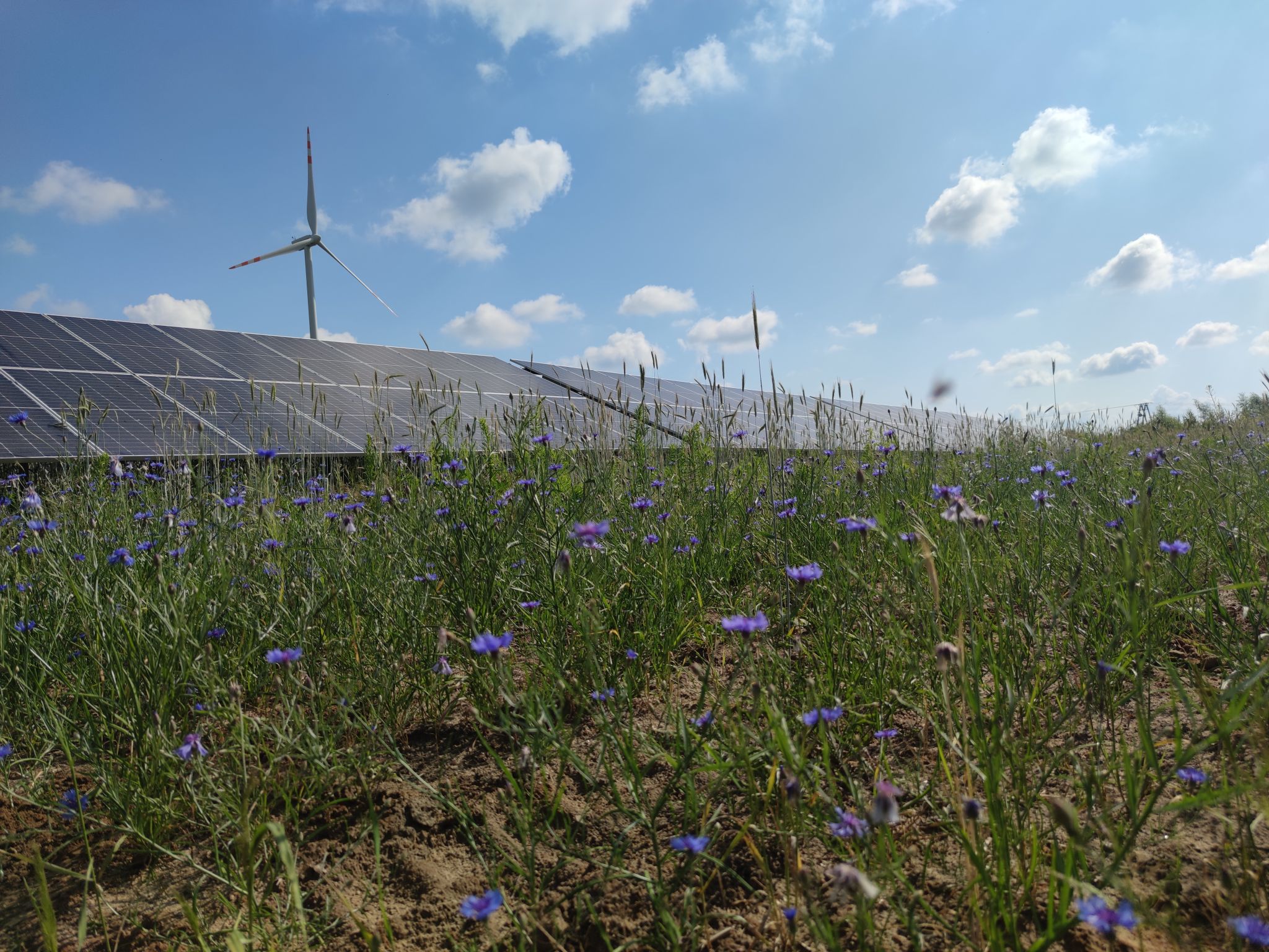 Jak przygotować raport ESG z zieloną energią?