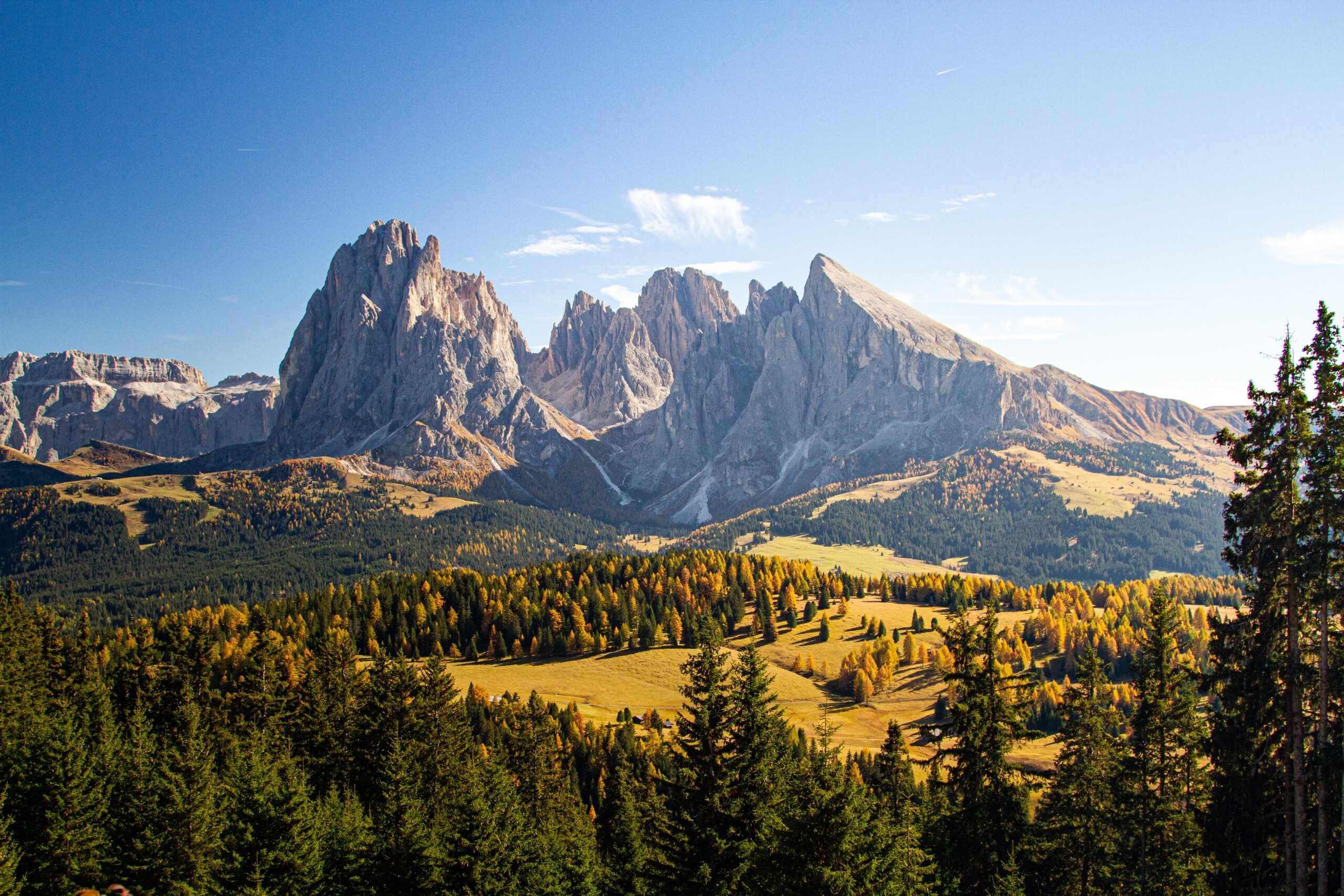 Nowa pomoc do raportowania niefinansowego w zakresie bioróżnorodności już jest!