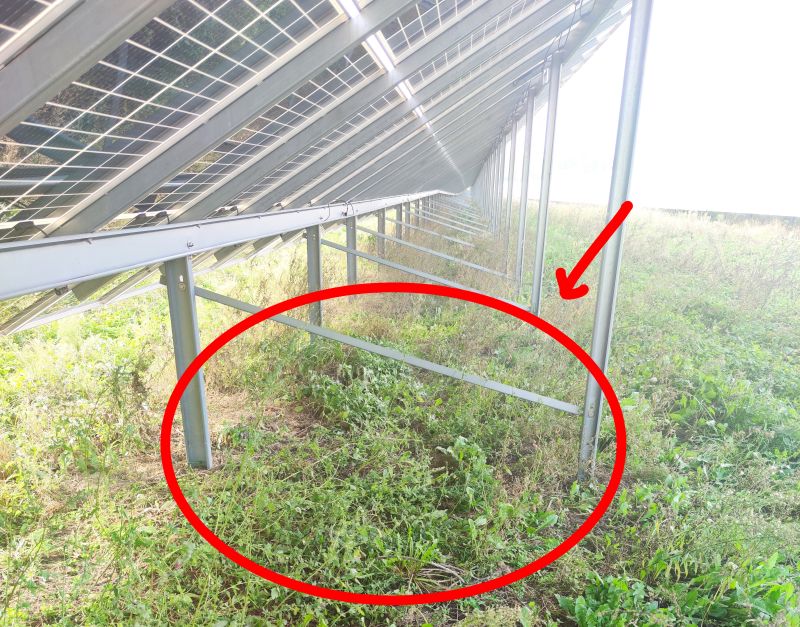 Realizacja zapisów decyzji środowiskowej dla Twojej farmy fotowoltaicznej jest trudna?
